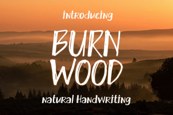 Burn Wood: A Quirky Display Font for Bold Branding