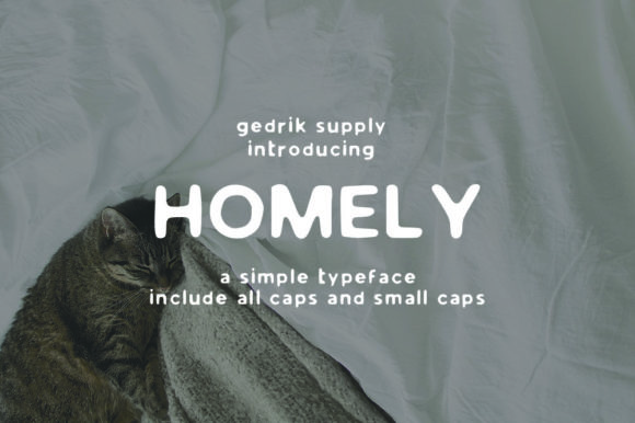 Homely: A Vintage Display Font for Polished Branding