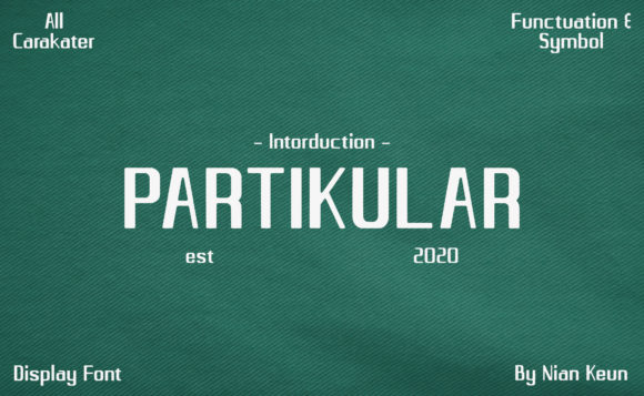 Partikular: A Cool Font That Boosts Brand Visuals